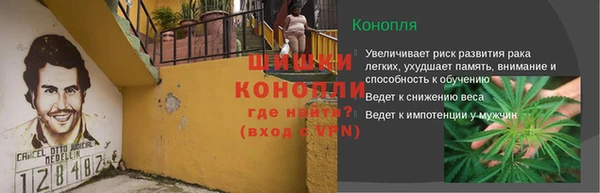 индика Воткинск