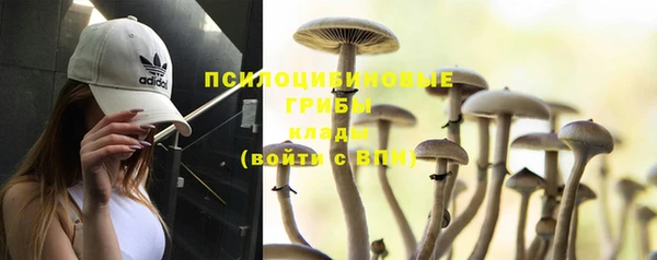 дмт Липки