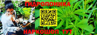 гидра Кимры