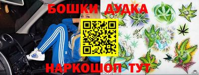 гидра Кимры