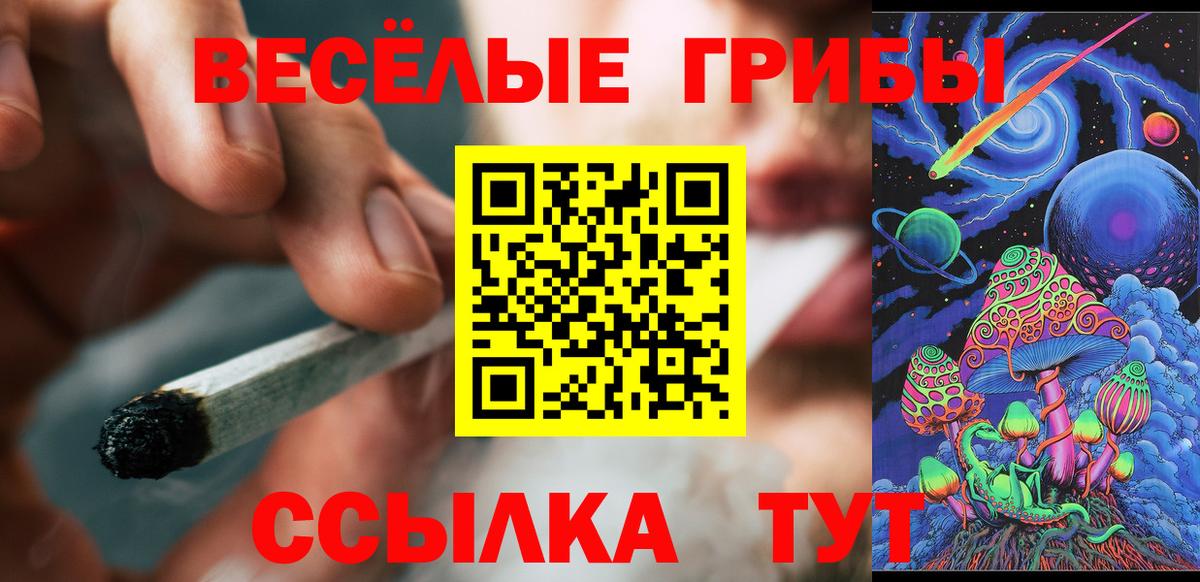 Галлюциногенные грибы Psilocybe  Вход с VPN  Кулебаки  Псилоцибиновые грибы GOLDEN TEACHER 